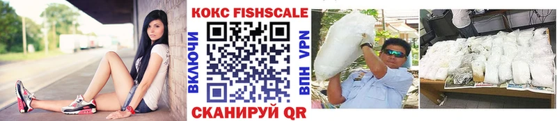 COCAIN Fish Scale  Куса 