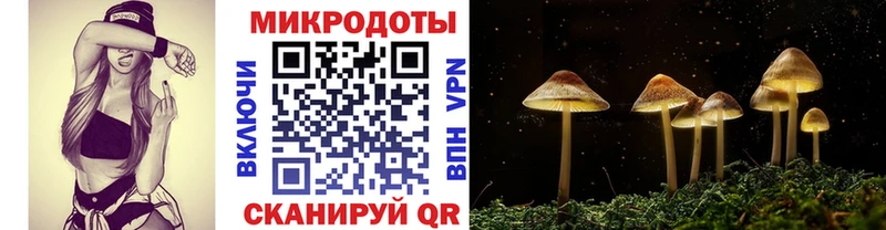 дарнет шоп  Куса  Псилоцибиновые грибы ЛСД 